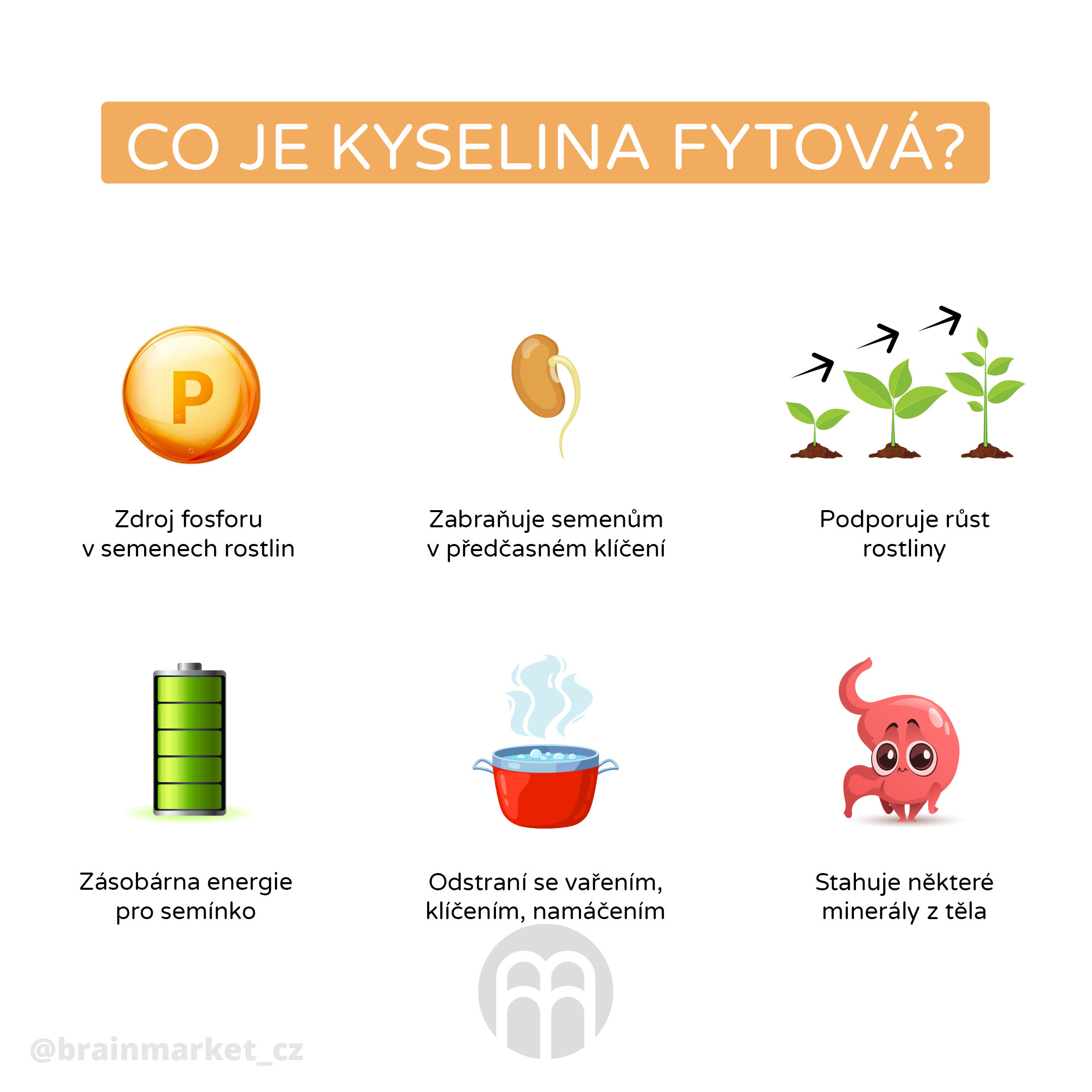 kyselina_fytova_infografika_brainmarket_cz